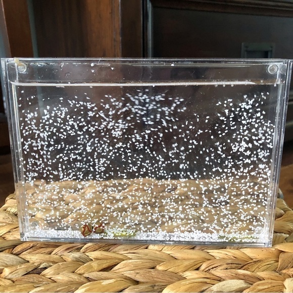 Polar Express Acrylic snow globe picture frame 4x6 - Picture 1 of 2